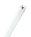 Tube fluorescent T8 G13 30W=2400 lumens blanc froid Lumilux OSRAM Haute Qualité