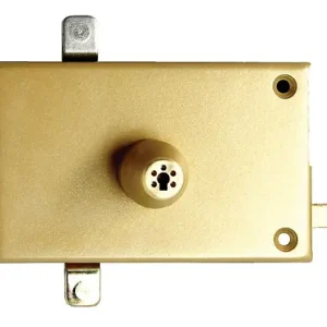 Mécanisme IZIS 541 A2P* HB3 horizontal tirage or gauche - ISEO - 9704HTIZ05.5 Affaire À Saisir