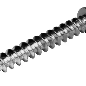 Expédition Rapide Pattes à vis bois longueur 30 mm par 10