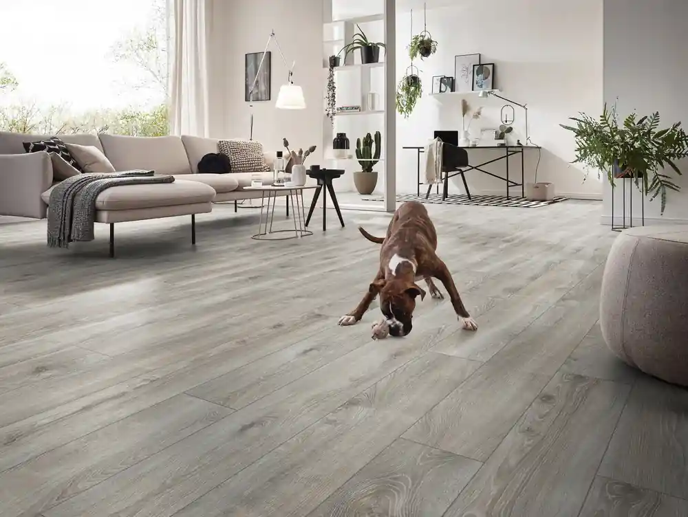Sol stratifié décor chêne argent HIGHLAND ép 12 mm 18,8 x 184,5 cm AC5 paquet de 1,387 m² KRONOTEX Acheter Direct