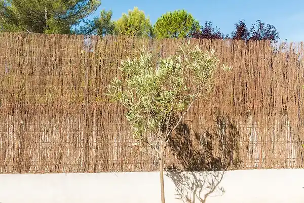 Nouveauté Brande de bruyère naturelle - H.1xL.5m SICATEC