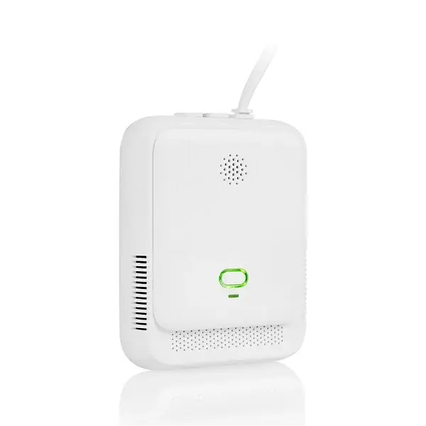 Détecteur de gaz méthane butane propane - Blanc - 85 dB SMARTWARES Vente Directe