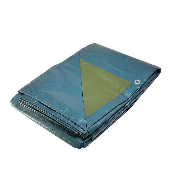 Bâche de jardin 4 x 5 m Bleue et verte Etanche Polyéthylène 150g/m² UNIVERS DU PRO Bon Plan