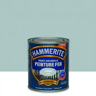 Authentique Peinture fer extérieur direct sur rouille finition fer forgé gris zinc 2,5 L - HAMMERITE