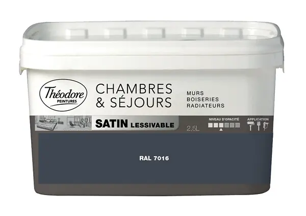Seulement Aujourd'hui Peinture acrylique Chambres & Sejours - Satin - 2,5L - RAL7016 THEODORE PEINTURES