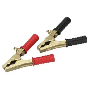 Populaire Set De 2 Pinces En Bronze 800 Amp. 100X160 Mm Alyco 199370
