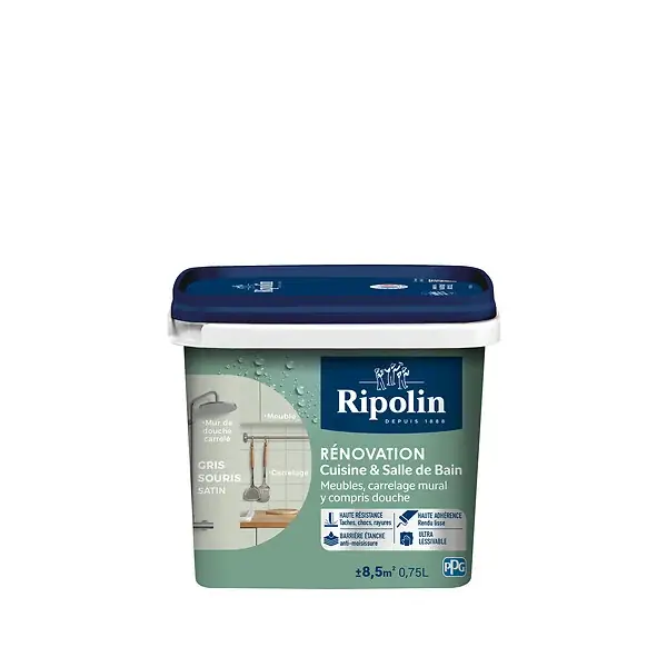 Achetez Aujourd'hui Peinture rénovation cuisine bain satin - Gris souris - 0,75L RIPOLIN