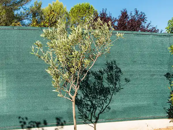 Brise-vue en maille tissée - Vert - H.100xL.1000cm SICATEC Prix Bas