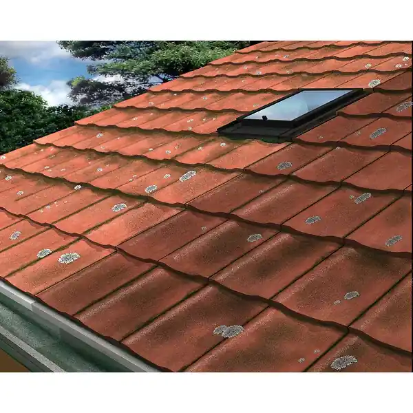Marque Traitement anti-mousse 2-en-1 - 20L SIKA