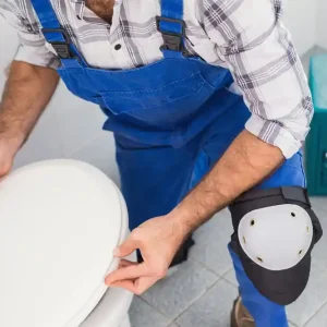 Installation ou remplacement abattant de toilette Produit De Marque