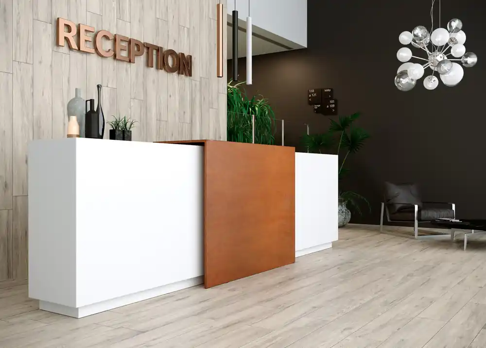 Carrelage sol intérieur effet bois silver NWOOD ép 10 mm 20 x 120 cm rectifié paquet de 1,44 m² HERBERIA Remise