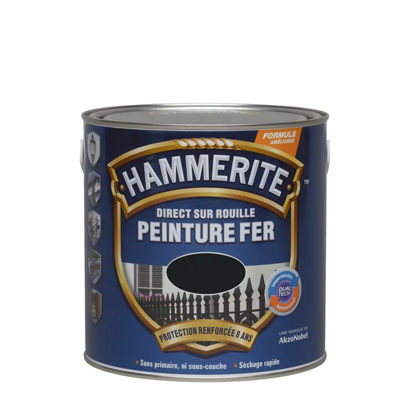 Quantité Limitée Peinture fer extérieur direct sur rouille lisse noir brillant 250 ml - HAMMERITE