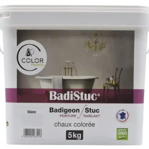 Badistuc terre de cassel Gris moyen 5kg COLOR FRANCE Jusqu'à Épuisement Des Stocks