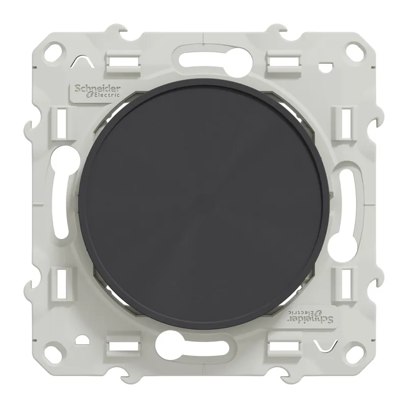 Obturateur de prise et dérivation anthracite - Odace 2011 SCHNEIDER ELECTRIC Commander Maintenant