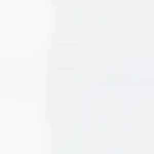 Certifié Faïence blanche murale intérieur mat ép 9,2 mm 20 x 50 cm paquet de 1 m² ELYSSA TRADING