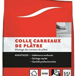 Prix Bas Colle carreaux de plâtre - Poudre - 5kg SEMIN