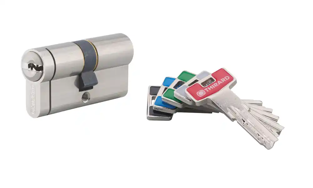 Acheter En Ligne Cylindre de serrure double entrée débrayable 30 x 30 mm Transit 2 très haute sécurité nickelé 5 clés THIRARD