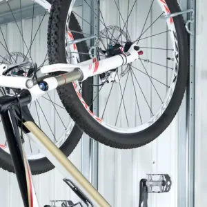 Acheter Direct Supports de vélo 173 cm par 2 pour abri Europa BIOHORT Livraison à domicile incluse