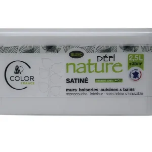 Acheter En Ligne Peinture naturelle murale Blanc satin 2,5 l - DEFI NATURE