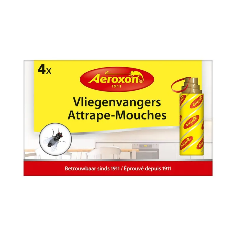Expédié Aujourd'hui Rubans attrape mouche par 4