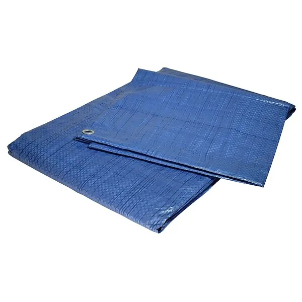 Bâche de jardin 2 x 3 m Bleue et verte Etanche Polyéthylène 80g/m² TECPLAST Promotion