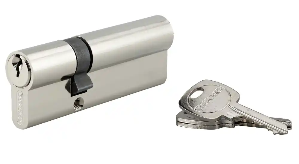 Quantité Limitée Cylindre de serrure double entrée 30 x 60 mm STD nickelé 3 clés THIRARD