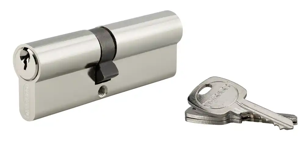 Cylindre de serrure double entrée 40 x 50 mm STD nickelé 3 clés THIRARD Achetez Aujourd'hui