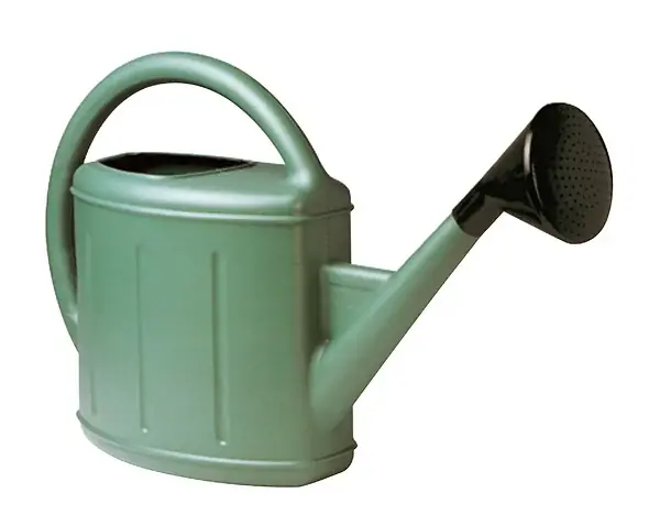 Arrosoir lyonnais métal - Vert métallisé - 11L EDA Meilleur Prix