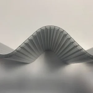 Plaque de polycarbonate alvéolaire Thermonda L.2 x l.0,98 m PLASTIBAT Nouvel Arrivage