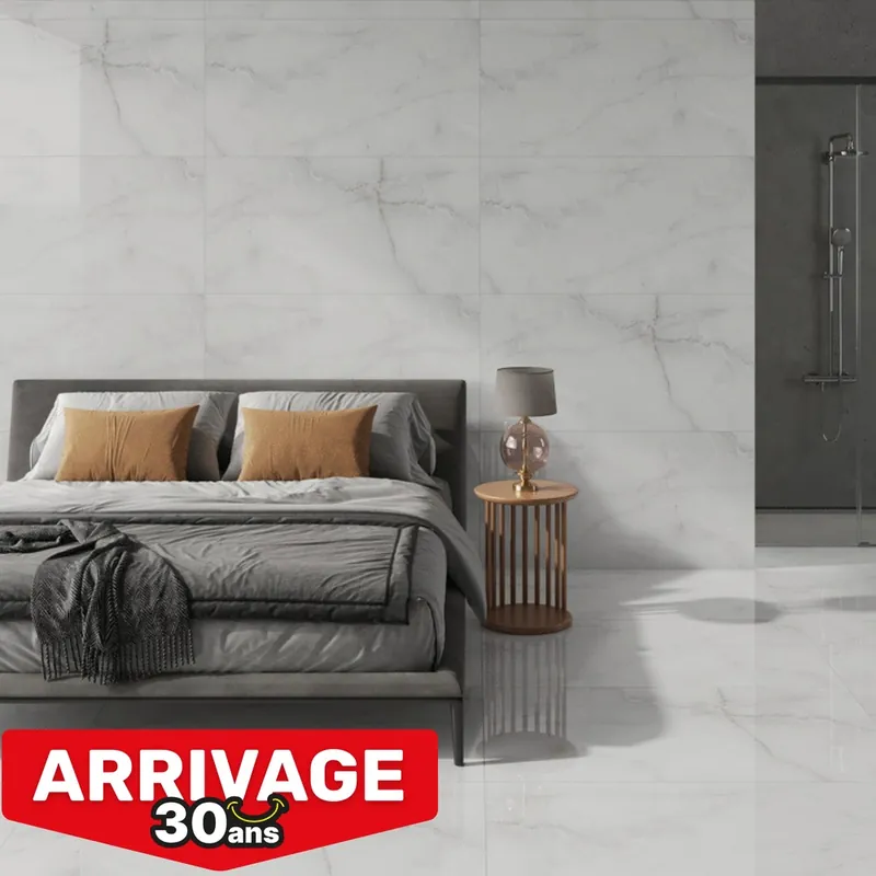 Nouveauté Carrelage de sol intérieur effet marbre gris ROYAL ONYX ép 9mm 60x120 cm 1.44 pqt/m² ELYSSA TRADING