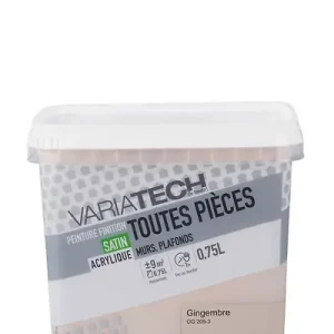 Affaire À Saisir Peinture murale satinée - Gingembre - 0,75L VARIATECH