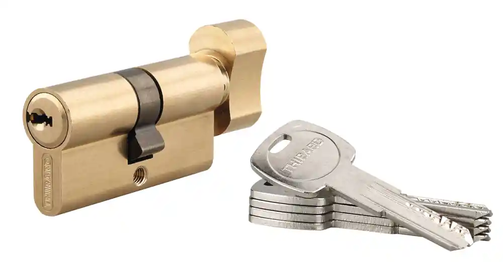 Cylindre de serrure à bouton 30 x 30 mm Trafic 6 haute sécurité laiton 5 clés THIRARD Produit De Marque