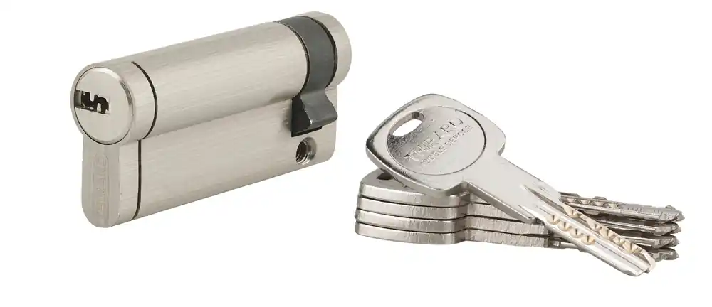 Haute Qualité Demi-cylindre de serrure 60 x 10 mm Trafic 12 très haute sécurité nickelé 5 clés THIRARD