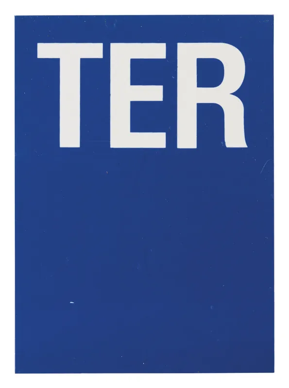 Plaque signalétique lettre Ter adhésive 65 x 90 mm fond bleu THIRARD Achetez Aujourd'hui