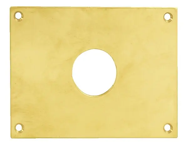 Plaque de propreté trou rond 24 laiton poli 120x80mm - HERACLES - 251852-TR24 Prix Choc