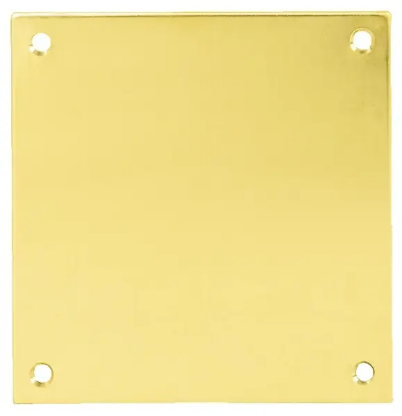 Plaque de propreté 300x150mm laiton poli épaisseur 0,8mm - HERACLES - 19-0823-9920 Pas Cher