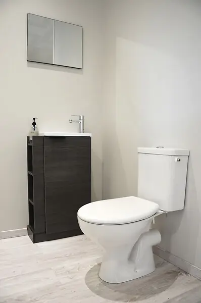 Petit Prix Pack WC Serti - Blanc - H75,5xL36,7xP62cm LT AQUA +