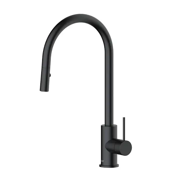 Swiss Aqua Technologies Aurum mitigeur évier à levier sur pied 44 cm avec douchette extractible 2 jets, noir mat (SATBAUR286C) Affaire À Saisir