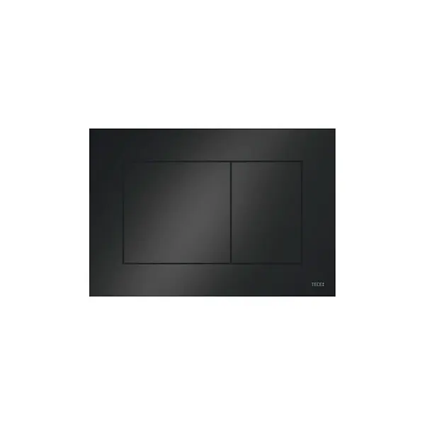 Seulement Aujourd'hui TECEnow Plaque de commande double touche, Noir (9.240.403)