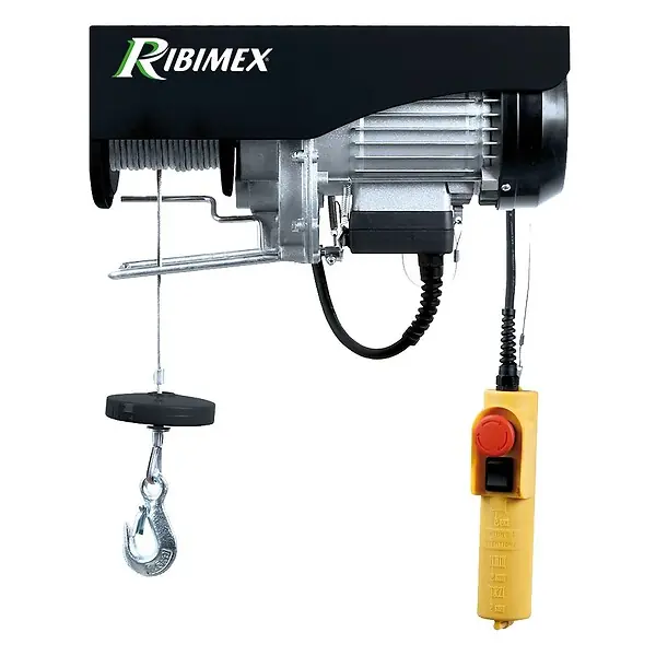 Affaire À Saisir Palan Électrique 125/250 kg - 500 W RIBIMEX