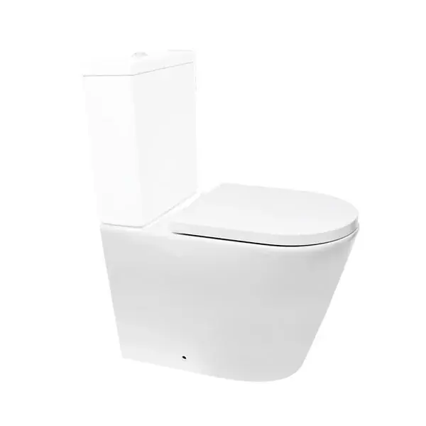 Bon Marché Swiss Aqua Technologies Project cuvette WC à poser sans bride en céramique (réservoir non fourni), blanc (SATPRO31M)