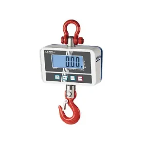 Kern - Crochet peseur charges max 300 kg - HCD 300K-1 Kern sohn Retour Gratuit