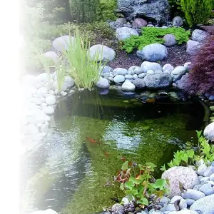 Petit Prix Bassin de jardin préformé Iris SII - Polyéthylène - 240L UBBINK