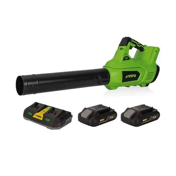 Souffleur de jardin 40V + 2 Batteries lithium 2AH + Chargeur DOUBLE VITO Meilleur Choix