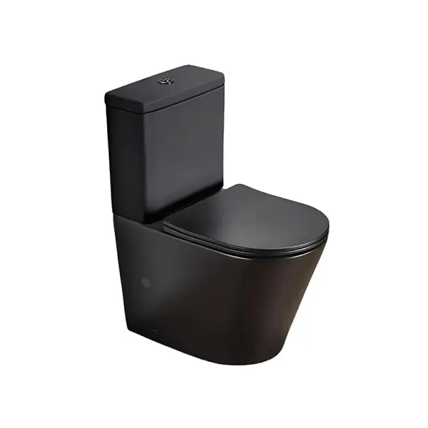 Prix Réduit Swiss Aqua Technologies Infinitio WC à poser complet en céramique avec abattant SoftClose, noir mat (SATINF031VPSNBKM)