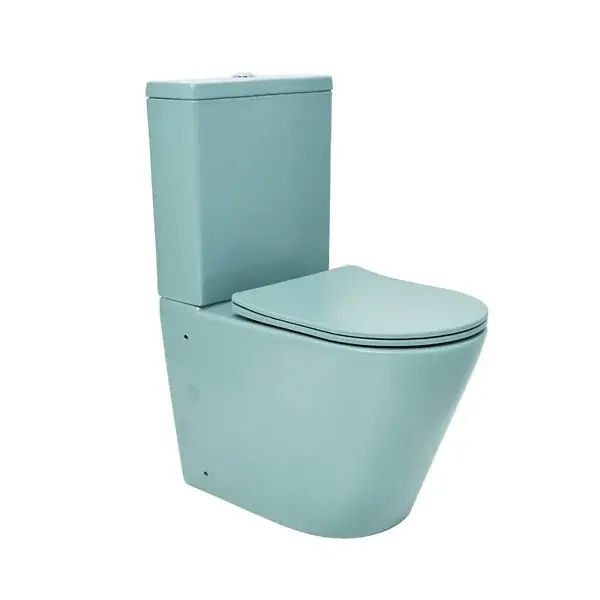 Swiss Aqua Technologies Infinitio WC à poser complet en céramique avec abattant SoftClose, vert mat (SATINF031VPSNLGEM) Super Prix