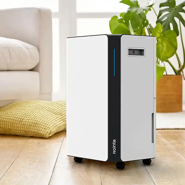 Déshumidificateur mobile DRYPURE 16L - ROINTE - DHDN16 Commander Maintenant